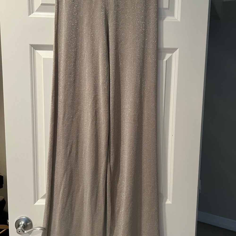 Elegant Champagne Sparkly Silver sweater pull on Women's Pants sz small